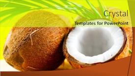  Presentation with coconut palm tree - Colorful PPT theme enhanced with coconut-with-coconuts-green-palm backdrop and a yellow colored foreground