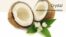  Presentation with green coconut - PPT theme featuring coconut with jasmine background and a lemonade colored foreground