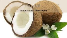  Presentation with jasmine - Audience pleasing presentation design consisting of coconut with jasmine backdrop and a coral colored foreground