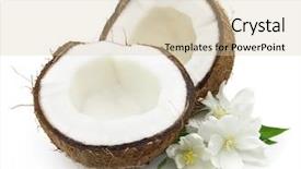  Presentation with jasmine - PPT theme with optician - portrait of confident eye doctor background and a light gray colored foreground