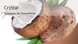  Presentation with coconut milk - Presentation theme with coconut with milk splash inside background and a light gray colored foreground