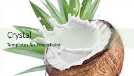  Presentation with milk splash - PPT layouts consisting of coconut with milk splash inside background and a mint green colored foreground