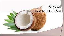  Presentation with palm leaves - Beautiful theme featuring silver aluminium landscape picture frame on white backround backdrop and a  colored foreground.