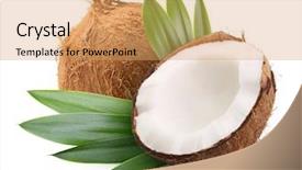  Presentation with palm leaves - Presentation theme consisting of road - traffic in the morning on the road background and a gray colored foreground