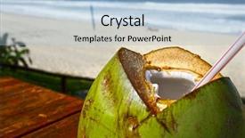  Presentation with coconut - PPT theme with coconut background and a light blue colored foreground