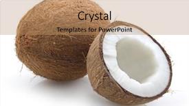  Presentation with coconut shell - Beautiful PPT layouts featuring coconut backdrop and a coral colored foreground