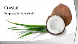  Presentation with coconut shell - Beautiful slide deck featuring coconuts and palm leaf backdrop and a white colored foreground