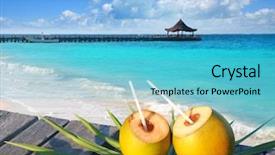  Presentation with coconut tree - Beautiful slide deck featuring coconuts cocktail on palm tree backdrop and a teal colored foreground