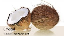  Presentation with coconut shell - Colorful PPT layouts enhanced with coconuts on white backdrop and a  colored foreground