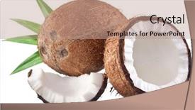  Presentation with coconut - Presentation theme enhanced with coconuts with coconut half background and a coral colored foreground