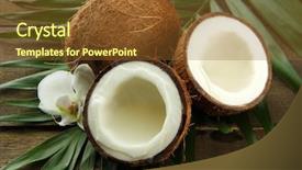 Presentation with leaves - Cool new slides with coconuts with leaves and flower backdrop and a tawny brown colored foreground
