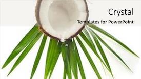  Presentation with coconut - Beautiful PPT layouts featuring coconuts with leaves isolated backdrop and a soft green colored foreground