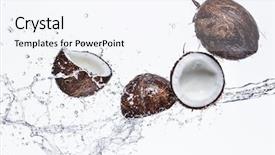  Presentation with water splash - Slide set enhanced with coconuts with water splash isolated on white background and a sky blue colored foreground