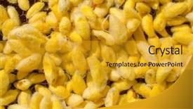  Presentation with silk - Slide deck enhanced with  background and a  colored foreground