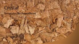  Presentation with coir - Colorful presentation theme enhanced with cocopeat - coconut coir husk fiber chips backdrop and a red colored foreground