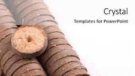  Presentation with plants growing - Presentation theme with cocopeat - coconut tablets for growing plants background and a white colored foreground