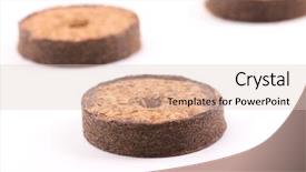  Presentation with plants growing - Audience pleasing PPT theme consisting of cocopeat - coconut tablets for growing plants backdrop and a lemonade colored foreground