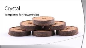  Presentation with plants growing - Presentation design with cocopeat - coconut tablets for growing plants background and a white colored foreground