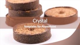  Presentation with plants growing - Presentation theme having cocopeat - coconut tablets for growing plants background and a red colored foreground