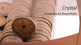  Presentation with plants growing - Audience pleasing presentation consisting of cocopeat - coconut tablets for growing plants backdrop and a coral colored foreground