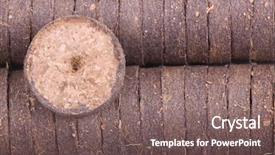  Presentation with plants growing - Cool new slide deck with cocopeat - coconut tablets for growing plants backdrop and a violet colored foreground