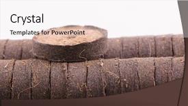  Presentation with plants growing - Colorful slide set enhanced with cocopeat - coconut tablets for growing plants backdrop and a white colored foreground