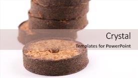  Presentation with plants growing - Colorful slide set enhanced with cocopeat - coconut tablets for growing plants backdrop and a coral colored foreground