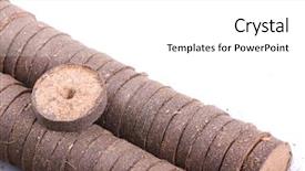  Presentation with plants growing - Slide deck having cocopeat - coconut tablets for growing plants background and a white colored foreground