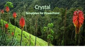  Presentation with colombia - Amazing slide set having cocora valley colombia south america backdrop and a tawny brown colored foreground