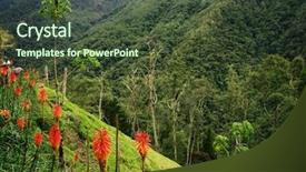  Presentation with colombia - Beautiful PPT theme featuring cocora valley colombia south america backdrop and a tawny brown colored foreground