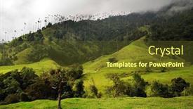  Presentation with colombia - Colorful theme enhanced with cocora-valley-salento-colombia-south backdrop and a tawny brown colored foreground