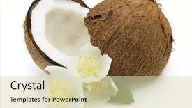  Presentation with jasmine - Presentation theme enhanced with cocos with jasmine background and a soft green colored foreground