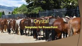  Presentation with wyoming - 