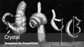  Presentation with humanity - PPT theme enhanced with coecum of orangutan lemurian maki background and a dark gray colored foreground