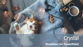  Presentation with weekend - Theme enhanced with coffee - lazy cat sleeps and yawns background and a seafoam green colored foreground