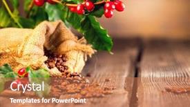 Presentation with plant harvest - Beautiful PPT theme featuring coffee background real coffee plant backdrop and a coral colored foreground