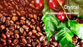  Presentation with plant harvest - Beautiful slides featuring coffee background real coffee plant backdrop and a tawny brown colored foreground