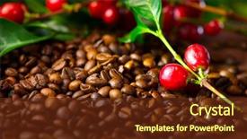  Presentation with plant harvest - Colorful PPT layouts enhanced with coffee background real coffee plant backdrop and a tawny brown colored foreground