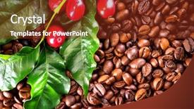  Presentation with plant harvest - PPT theme having coffee background real coffee plant background and a tawny brown colored foreground
