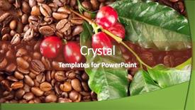  Presentation with plant harvest - Slides consisting of coffee background real coffee plant background and a tawny brown colored foreground