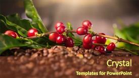  Presentation with coffee beans - Audience pleasing presentation theme consisting of coffee background real coffee plant backdrop and a tawny brown colored foreground