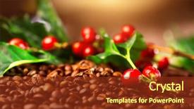  Presentation with plant harvest - Audience pleasing slides consisting of coffee background real coffee plant backdrop and a tawny brown colored foreground