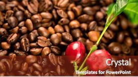  Presentation with plant harvest - Cool new slide deck with coffee background real coffee plant backdrop and a tawny brown colored foreground
