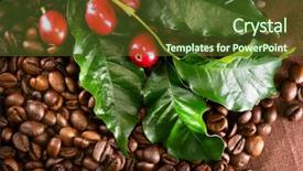  Presentation with plant harvest - Amazing presentation theme having coffee background real coffee plant backdrop and a tawny brown colored foreground