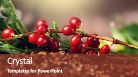  Presentation with harvest - Presentation enhanced with coffee background real coffee plant background and a tawny brown colored foreground