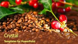  Presentation with plant harvest - Amazing slide deck having coffee background real coffee plant backdrop and a tawny brown colored foreground