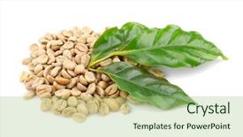  Presentation with green coffee beans - Presentation theme having coffee beans and green leaves background and a mint green colored foreground