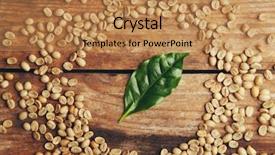  Presentation with green coffee beans - PPT theme enhanced with coffee beans and green leaves background and a coral colored foreground
