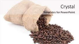  Presentation with coffee beans - PPT theme consisting of close up of wild deer in open zoo use for animals wild life in zoology background and a seafoam green colored foreground