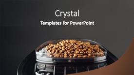  Presentation with coffee container - Amazing PPT theme having coffee-beans-in-coffeemaker-bean backdrop and a dark gray colored foreground